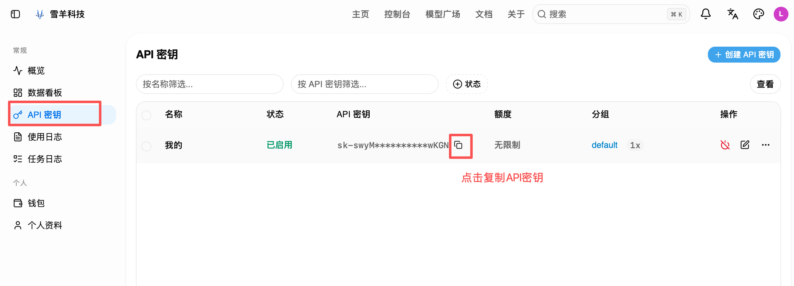 复制 API 密钥